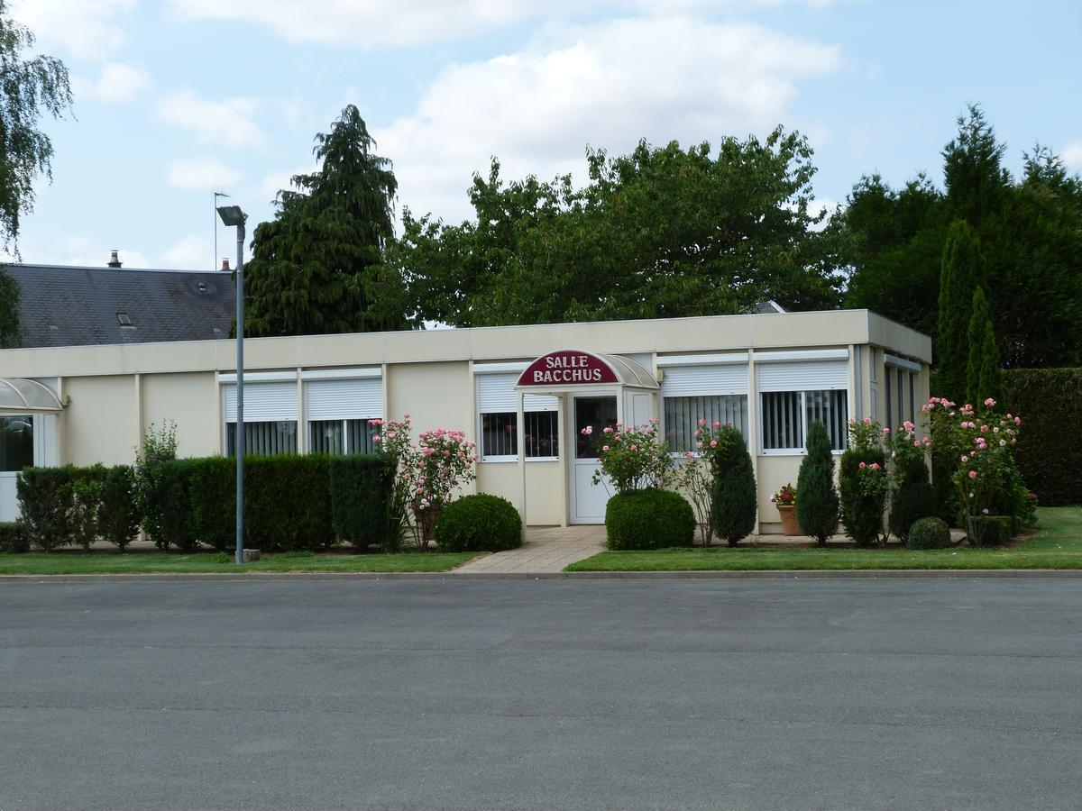 Hostellerie Du Chateau Saint-Pere-sur-Loire Esterno foto