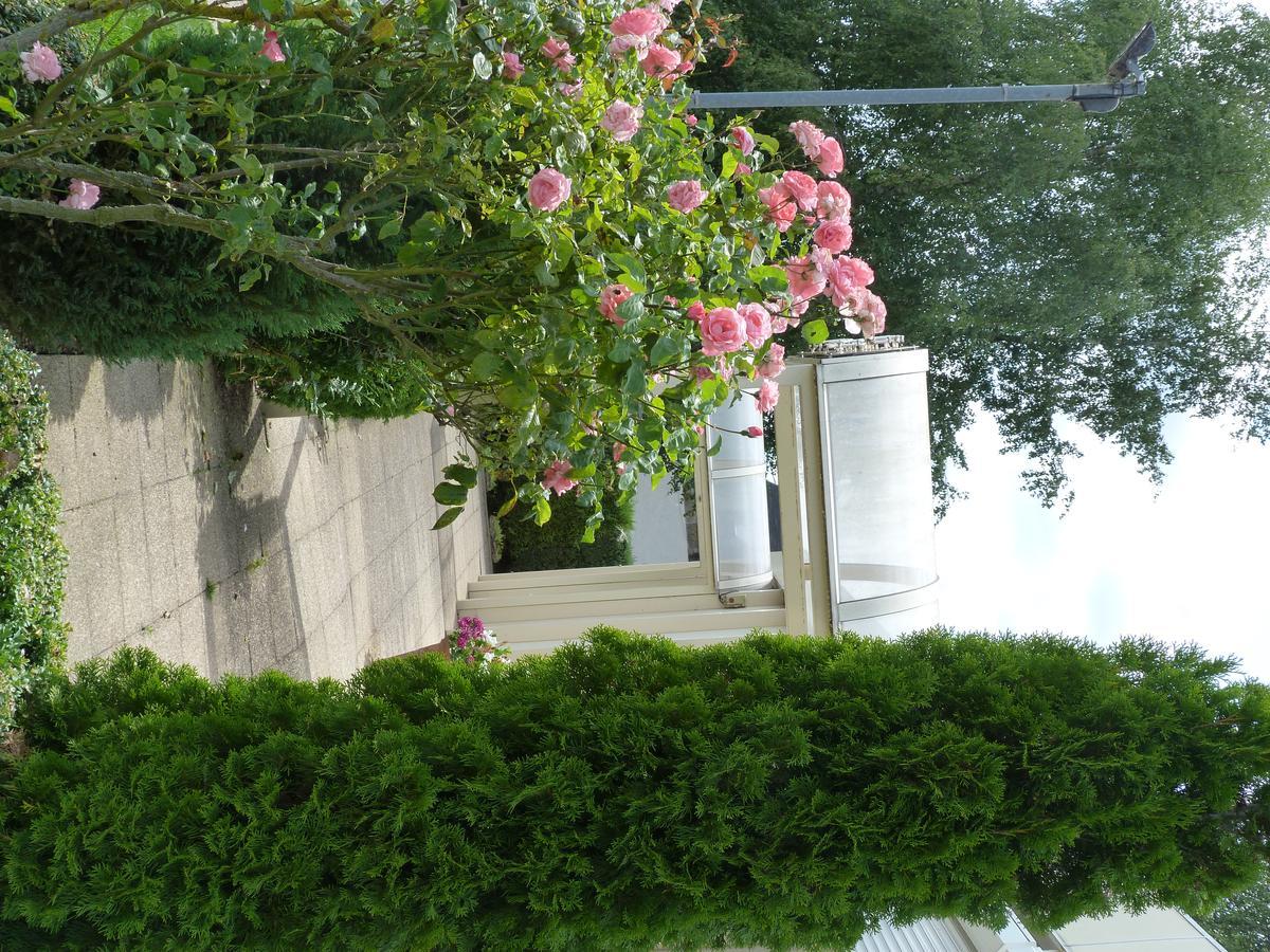 Hostellerie Du Chateau Saint-Pere-sur-Loire Esterno foto