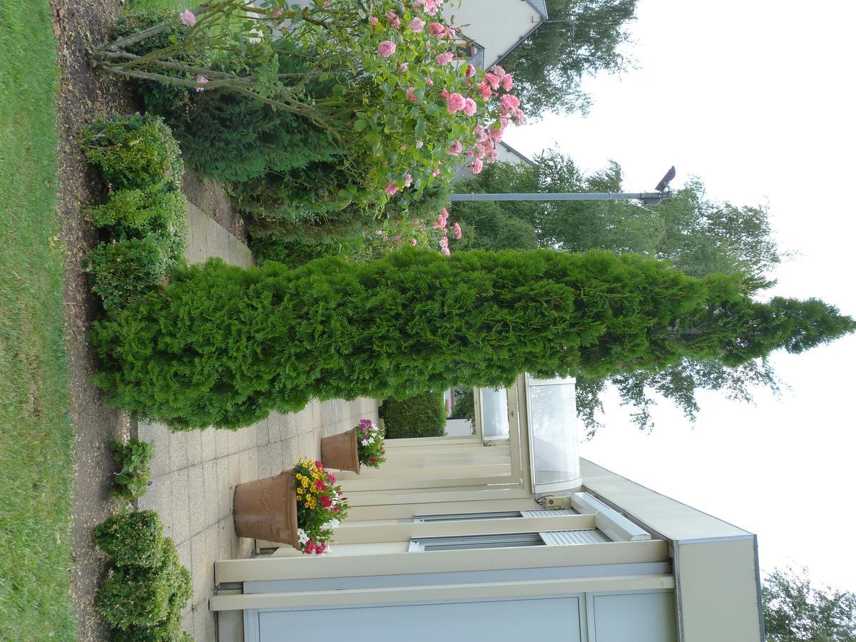 Hostellerie Du Chateau Saint-Pere-sur-Loire Esterno foto
